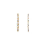Ayla Diamond Pave Hoops - Yellow Gold